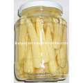 Canned Baby Corn with High Quality